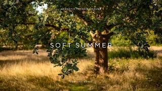 Soft Summer - Happy Positive Acoustic Music #happymusic screenshot 4