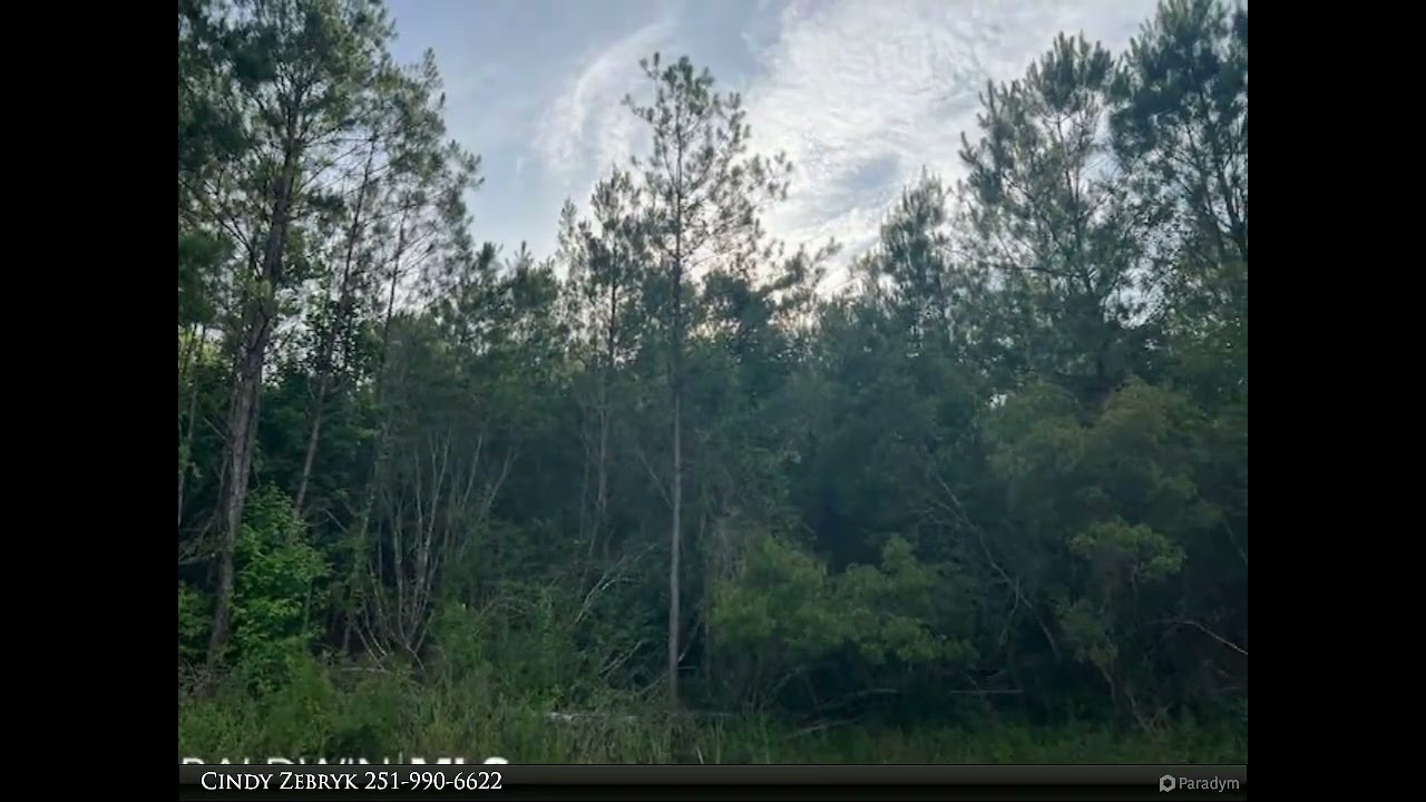 Coldwell Banker Reehl Properties, Inc - 0 Atlanta Circle