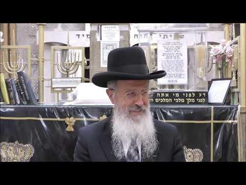 הרב אברהם יוסף שליט"א האם מותר לצחצח שיניים בשבת