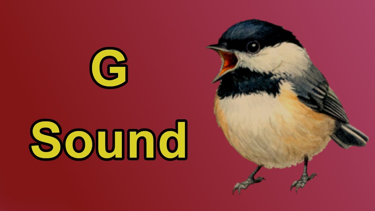 The G Sound Sonnet | Phonemic Awareness Poetry