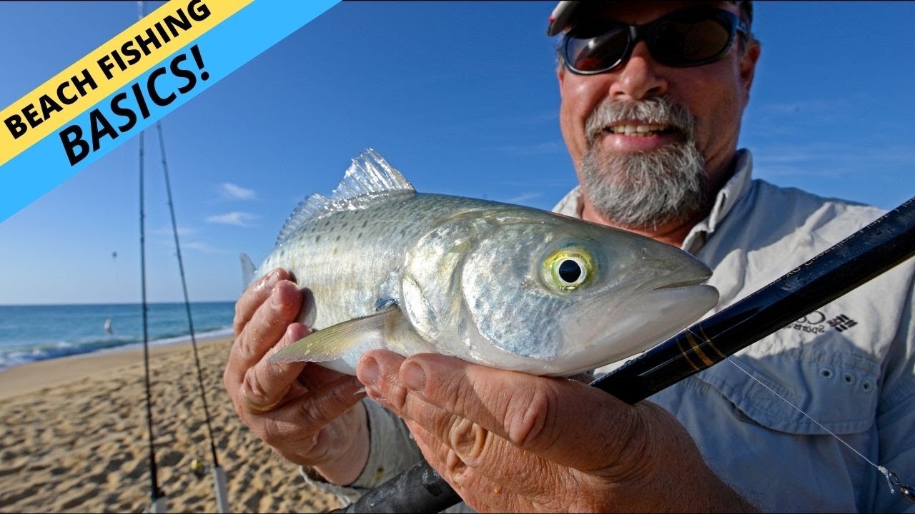 STEPPING STONES: To Easy Beach Fishing Success