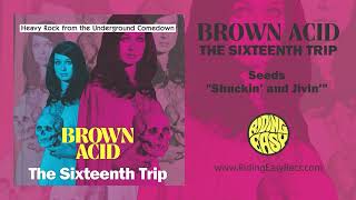 Brown Acid "The Sixteenth Trip" Full Album Stream