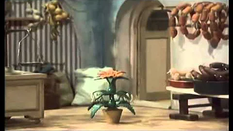 Jak vyjmeme kaktus z květináče?