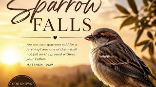 🕊️ EVERY SPARROW FALLS 🕊️  Original Worship Song by Donna Quinn 