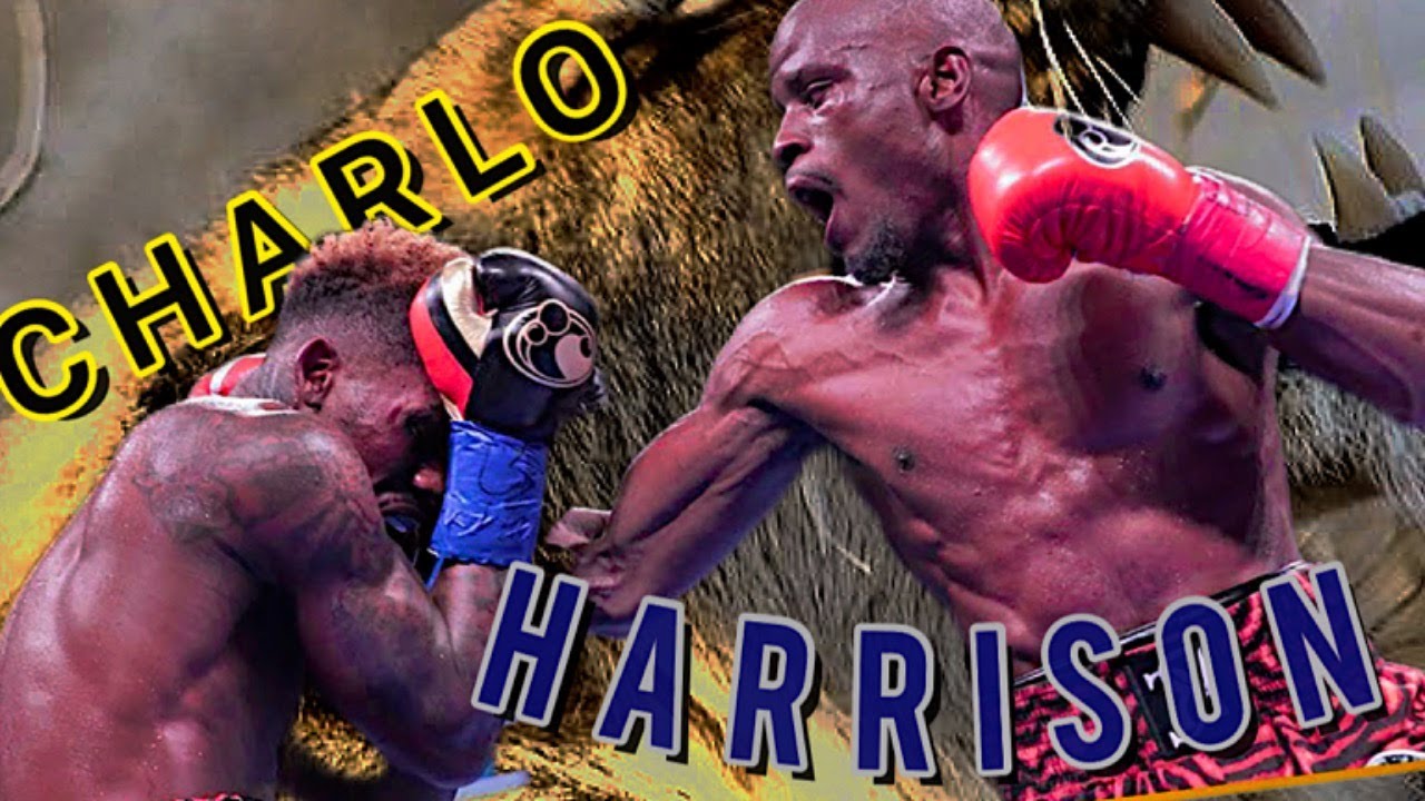CHARLO VS HARRISON: Rewatch & Point Score🥊 - YouTube