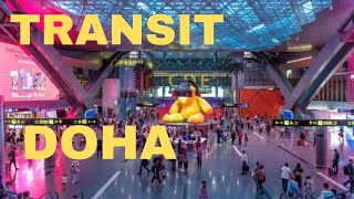 How to Transit in Doha Airport | How to Transfer flight in Hamad AirPort Doha Qatar