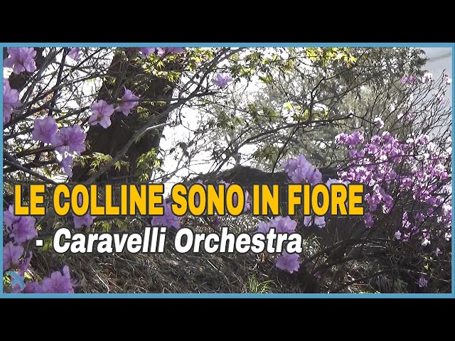 Caravelli - Le Colline Sono In Fiore