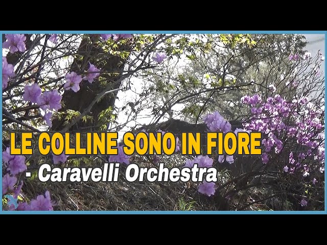 Caravelli - Le Colline Sono In Fiore