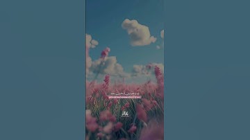 ذَلِكُمُ اللهُ رَبَّى عَلَيْهِ تَوَكَّلْتُ || طارق محمد || من سورة الشورى