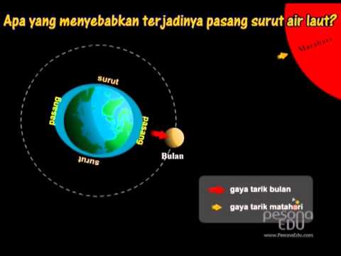 Pasang surut air laut dapat dipengaruhi oleh gravitasi