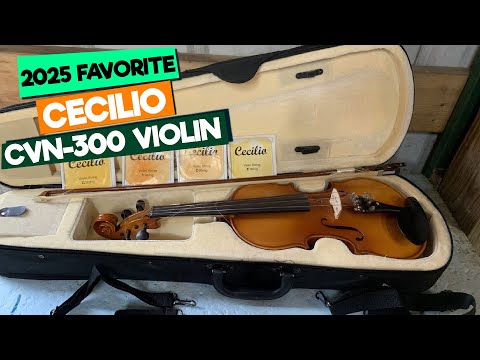 Cecilio CVN 300 Review: Is This the BEST Beginner Violin Kit Under