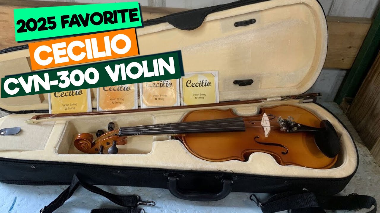 Cecilio CVN 300 Review: Is This the BEST Beginner Violin Kit Under