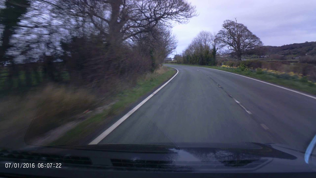 Loads of daffs   Glanwydden Lane, Llandudno    19 03 19