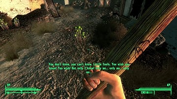 Damn frag mines! (Fallout 3)