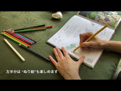 【最新クリスマス🎄ギフト】『光は今も輝いている』発売中！