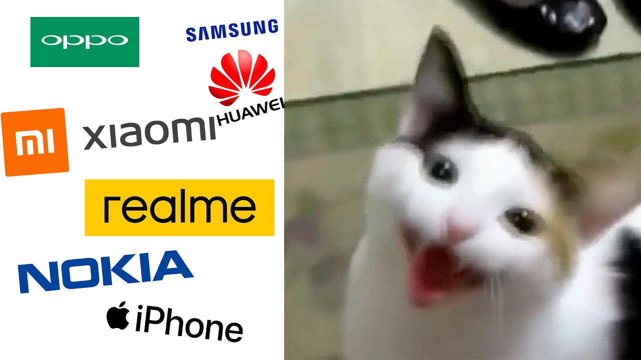 The cat with the scary meow smile but famous phone ringtones YouTube