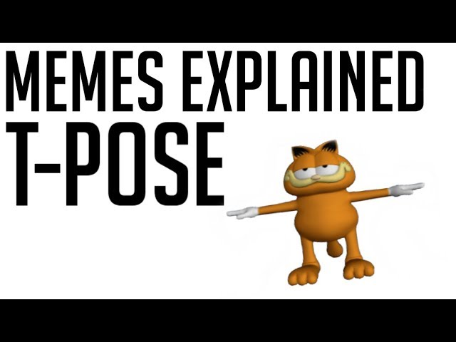 Why The Best Meme of the Year Is T-Posing