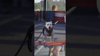 Thanks Joe lol! #joerogan