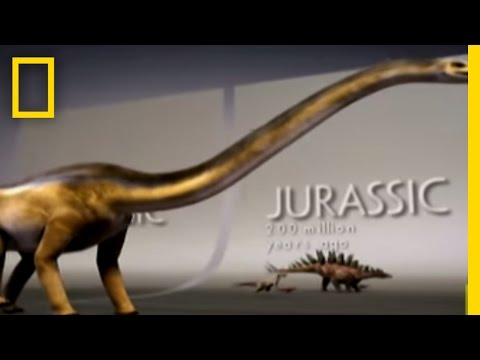 Lesson thumbnail