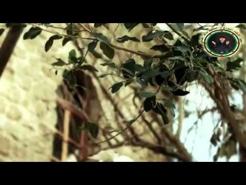 نطقت حروفي المعتصم بالله العسلي