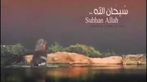 تلاوة خاشعة ومذهلة " القارئ محمد اللحيدان "  مثل الجنه التي وعد المتقون.