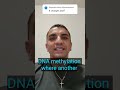 Antidepressants (SSRis) indirectly effect DNA