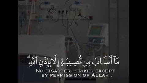 تلاوة هادئة وقصيرة || القارئ : إسلام صبحي || سورة : التغابن 🌷💚🌷