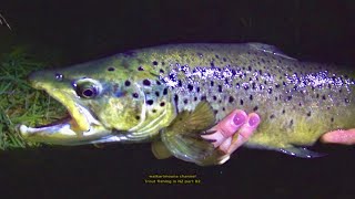 Trout fishing Rotorua district with flies and soft bait in rivers in New Zealand part 82