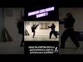 Mawashi Geri Renshu Part 1 #bujinkan