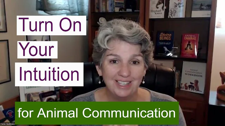 Unlock Your Right Brain for Powerful Animal Communication