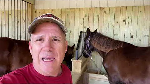 Reolink GO PT camera with EIOTClub SIM card