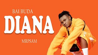 Mbosso Ft Lava lava DIANA Type beat instrumental #music #baibuda