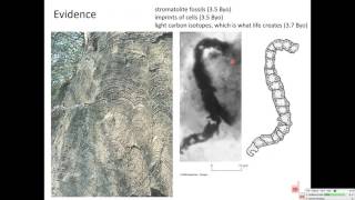 Life in the Ocean Lecture