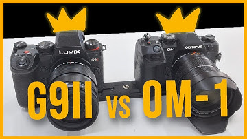Lumix G9II vs OM System OM1 - Video IBIS & AF test