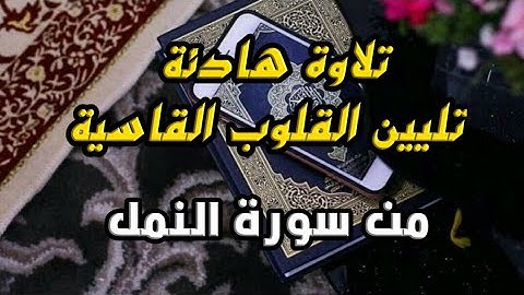 ارح سمعك.. تلاوة هادئة تريح القلب  ماتيسر من سورة النمل