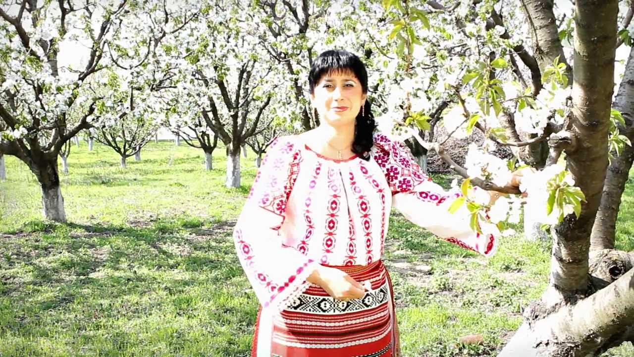 Formatia "NAȘA ȘI LĂUTARII"-Galaţi - 0741033285-Daniela Midoi Birlea-2013