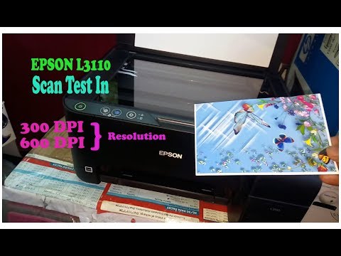 Epson l3110 Scan Test  In 300 Dpi & 600 Dpi