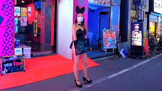 Japan Walk Kabukicho Late At Night Bunny Red Light District Adult Alley In Shinjuku Tokyo4K 歌舞伎町