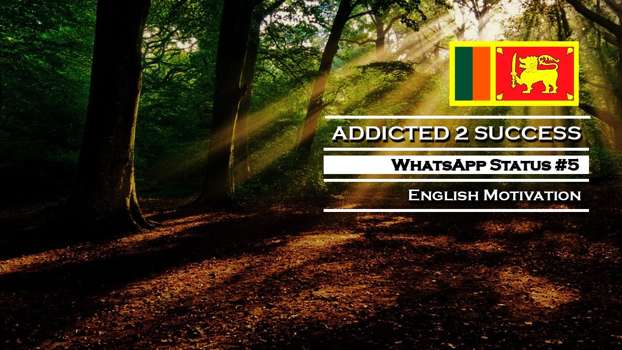 Addicted 2 Success | WhatsApp Status #5 | English Motivational Video