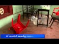 Turning point Alappuzha Dist ******