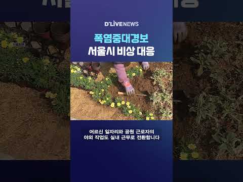 폭염중대경보 <strong>서울시</strong> 비상 대응 #딜라이브뉴스 #shorts
