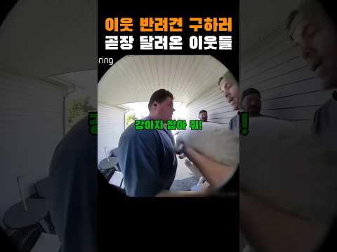 이런게 진정한 이웃이지.. thumbnail