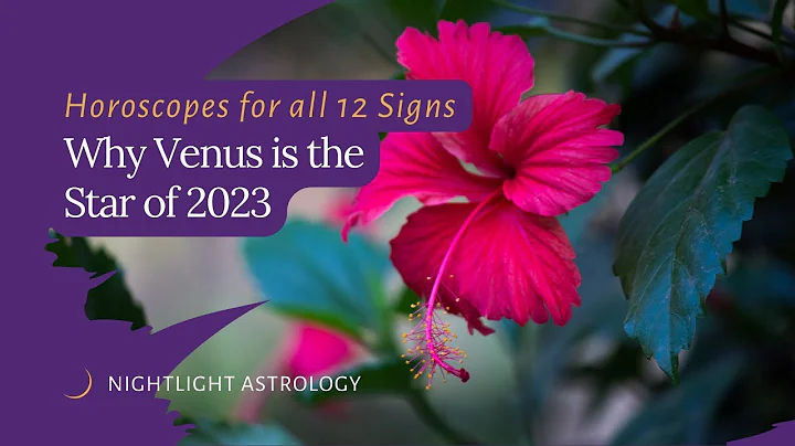 Why Venus is the Star of 2023   Horoscopes for all 12