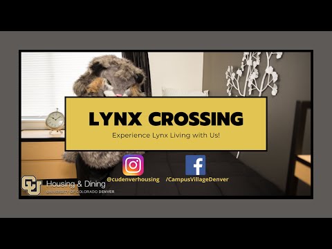 How to Apply for CU Denver Housing! | Lynx Crossing