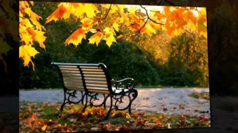 Thumbnail of Романс "Не отпускай меня"...(Кирилл Жандаров).