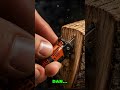 Mini Chainsaw sekecil jari, belah kayu keras?! 🔥 #minitools #fyp #viral  #fyp
