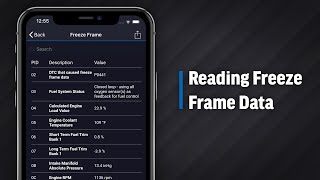 Reading Freeze Frame Data by BlueDriver 32,138 views 3 years ago 1 minute, 22 seconds