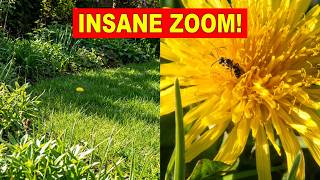 Apexel 5-10x Zoom Telephoto Lens Review: Professional Mobile Photography?