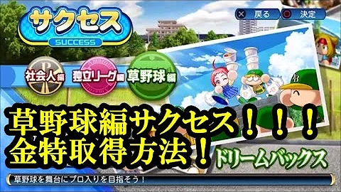 パワプロ16 草野球 投手