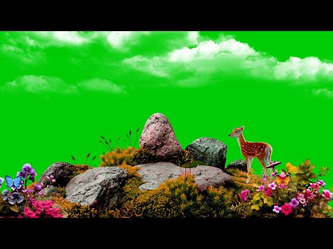 Nature Green Screen Background Video Effects HD With Cloud And Flower ...